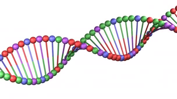 Concept : la molécule d'ADN se retourne. rendu 3D . — Video