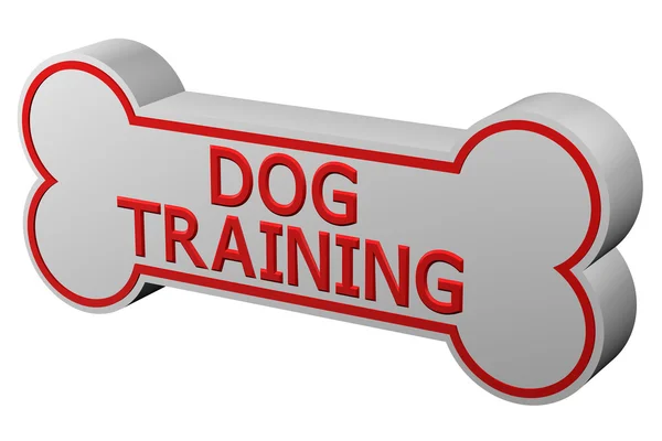 Concept: hond opleiding. 3D-rendering. — Stockfoto