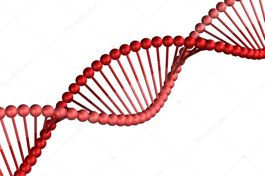 Concept: DNA,  isolated on white background.