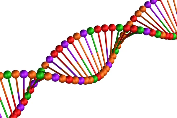 Concept: Dna, geïsoleerd op witte achtergrond. — Stockfoto