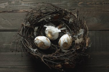 Yuvasında altın yumurtalar ve ahşap arka planında tüyler olan paskalya arkaplanı.