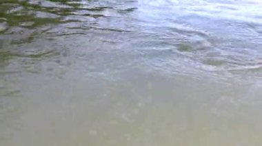 Su dalgalanması bir tekneye yaklaşırken