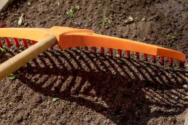 Bahçe yatağının arka planında yakın plan tırmık, tarım aleti, bahçe konsepti