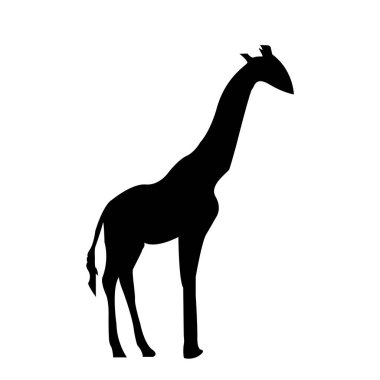 Zürafa silueti. Beyaz arka planda siyah zürafa işareti var. Zürafa Vektör illüstrasyonu