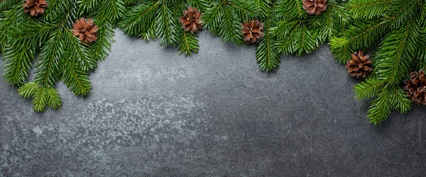 圣诞背景 有冷杉枝条 有黑色的圆锥 — 图库照片