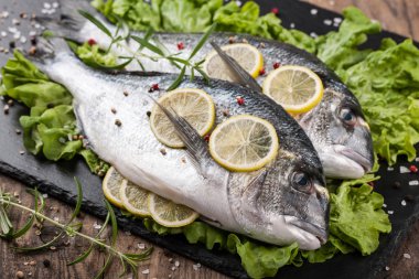 Ham taze balık dorado