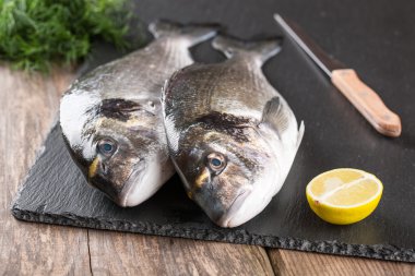 Ham taze balık dorado