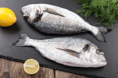 Ham taze balık dorado