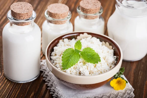 Bowl of cottage cheese and milk — Stock Photo, Image