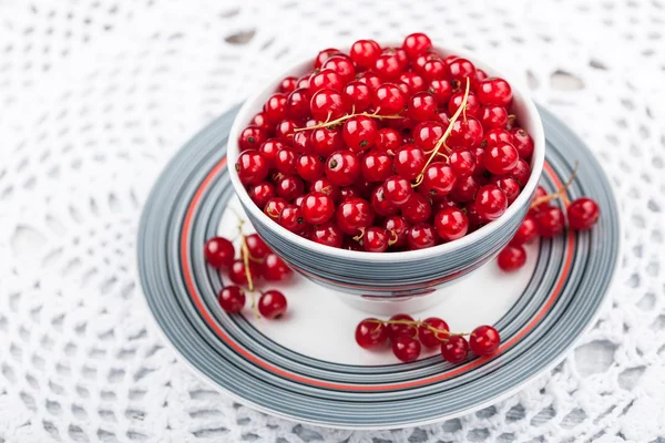Red currant in the bowl — Stock Photo, Image