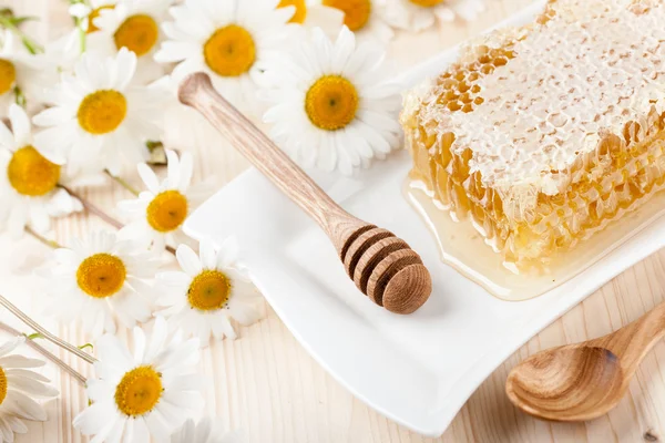 Pente de mel e flores de camomila — Fotografia de Stock