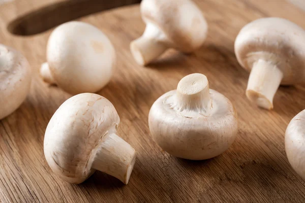 RAW гриби гриби — стокове фото