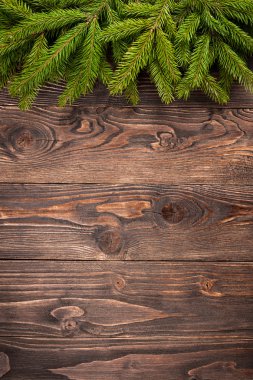 Koyu ahşap arka plan üzerinde köknar ağacı