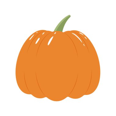 Beyaz arkaplanda izole edilmiş kabak renkli vektör çizimi. El çizimi tarzı, güzel karalama sanatı. Tarım kavramı. Bahçe işleri için sebzeler. Sağlıklı beslenme.