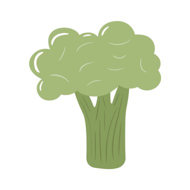 Brokoli renkli vektör çizimi beyaz arkaplanda izole edildi. El çizimi tarzı, güzel karalama sanatı. Tarım kavramı. Bahçe işleri için sebzeler. Sağlıklı beslenme.