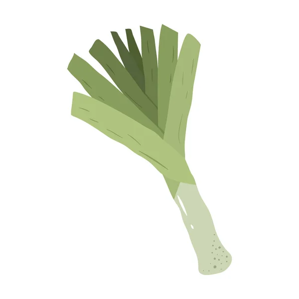 Зелений Цибуля Порей Стилі Намальованому Вручну — стоковий вектор