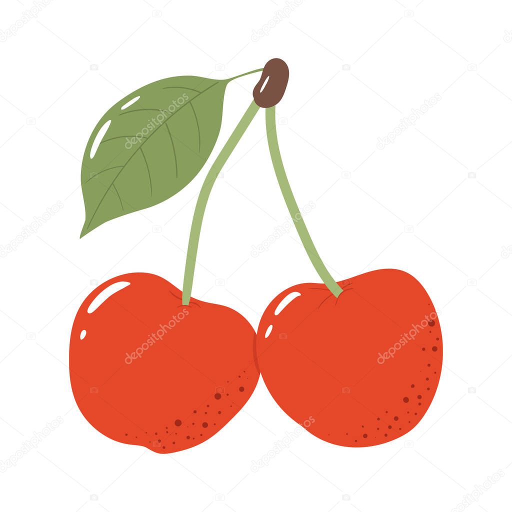 Cherry colorful vector illustration isolated on white background. Hand drawn style, cute doodle art. Agricultural concept. Fruits and berries for gardening. Healthy diet.