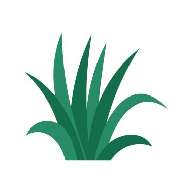 Beyaz arka planda izole edilmiş şirin el yapımı çim bitkisi. Vektör illüstrasyonu