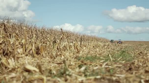 Agricultura Imágenes de stock libres de derechos