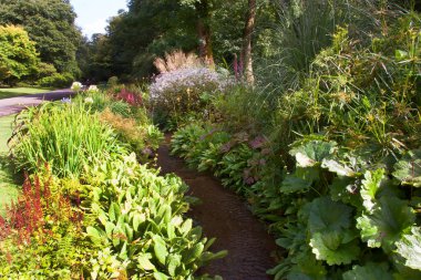 Güzel botanik manzarası