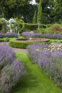 Güzel botanik bahçesi, Jay Robins Gül Bahçesi