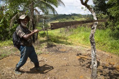 Orman sahnesinde ağaç kesen adam, seyahat sahnesi