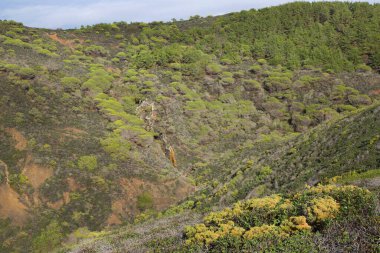 güzel yeşil tepelerin görünümünü