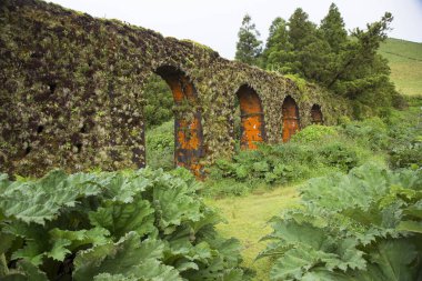 Tarihi Kömür Aqueduct Sao Miguel 'in iç kısımlarında bitki ve yosunlarla kaplanmış ve büyümüş.