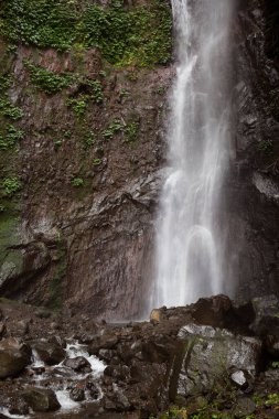 Ormanda güzel bir şelale