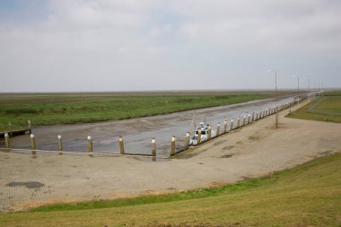 Gökyüzünde bir martı sürüsü