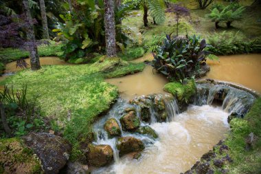 Ormanda güzel bir şelale