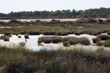 Sel basmış güneş manzarası