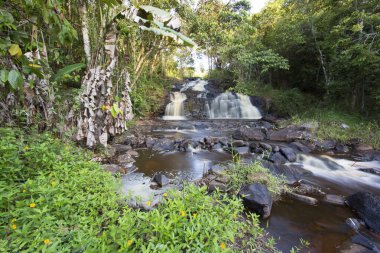 Tropikal ormanda akan kayalık nehir manzarası