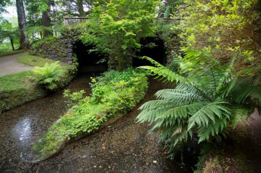 Parkın güzel manzarası