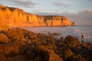 Kayalık kıyılar, kayalıklar ve kayalar denizlerde