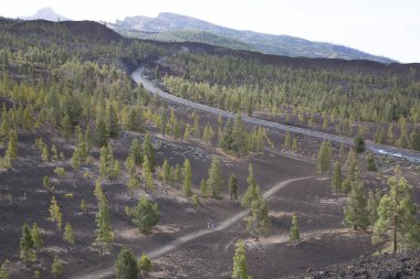 Dağlı güzel doğal manzara