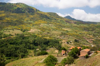 Yazın dağların manzarası