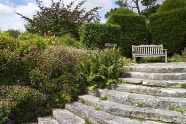 Güzel bir bahçe manzarası