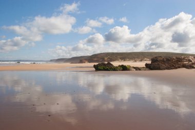 Baltık Denizi 'ndeki güzel plaj. Uzakta yaz zamanı.