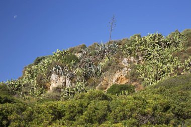 Dağların güzel manzarası