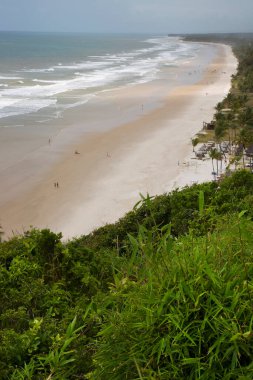 Palmiye ağaçları olan güzel tropikal plaj