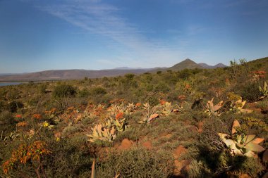 Gün batımı geniş dağ manzarasında aşınmış kayalar çiçek açan lezzetli önlüklerle kaplıdır.