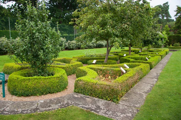 Hermoso Jardín Con Hierba Verde Flores —  Fotos de Stock