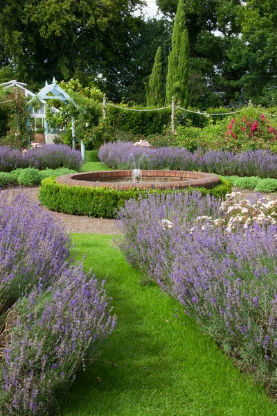Прекрасний Ботанічний Сад Джей Робінс Роуз Гарден — стокове фото