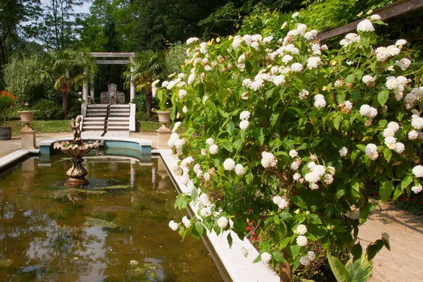 Beau Jardin Été Vert Avec Étang — Photo