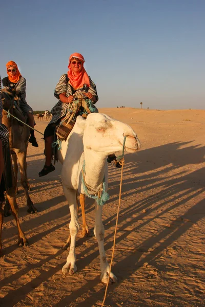 Vista Gente Montando Camellos Desierto — Foto de Stock