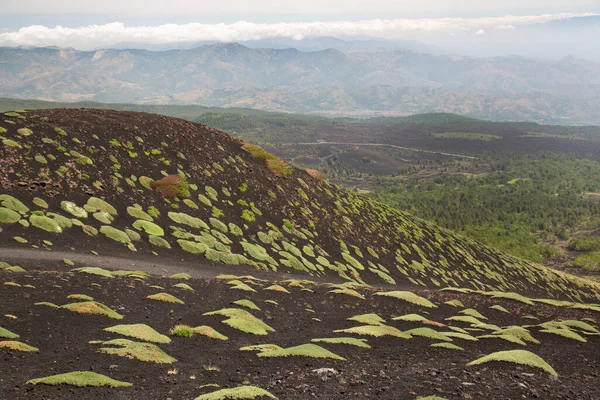 Cráter Borde Campos Lava Del Etna Monte Pendientes Empinadas Con — Foto de Stock