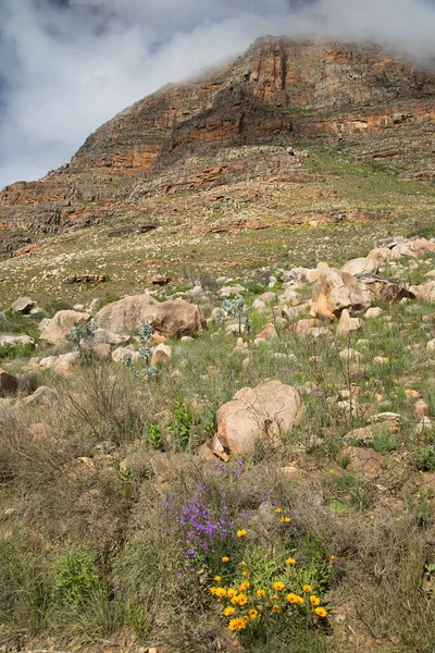 Formação Rochosa Erodida Típica Topo Uma Passagem Montanha Deserto Karoo — Fotografia de Stock