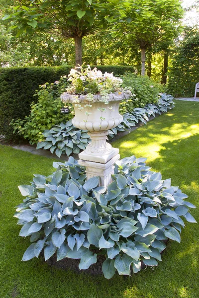 Belles Fleurs Blanches Dans Jardin — Photo