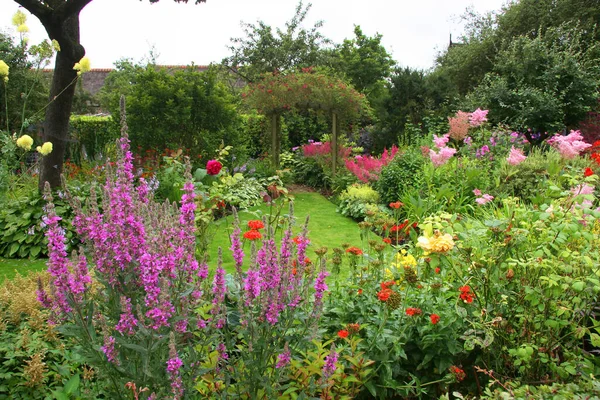 Schöne Blumen Garten — Stockfoto